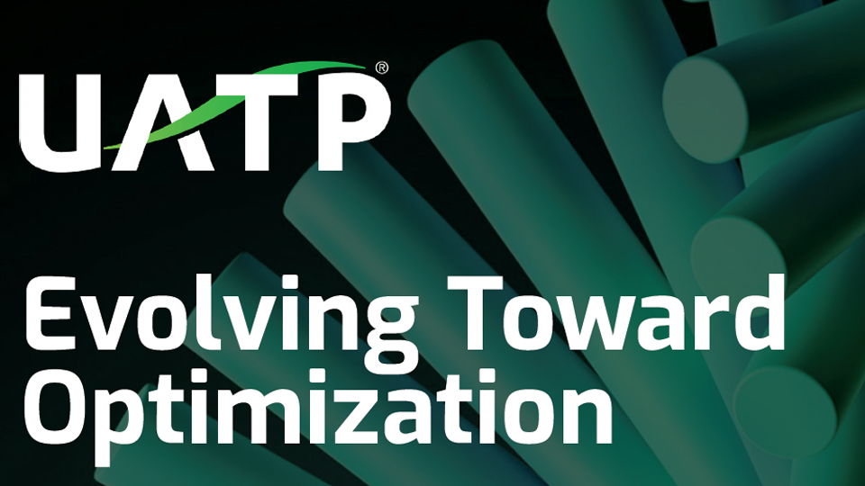 Evolving Toward Optimization